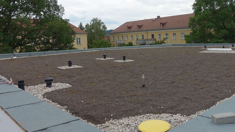 Dacharbeiten / Fertigstellung Gründach Lugaer Straße3d,3e